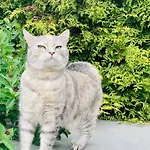 アパート Czapla Siwa