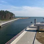 Czapla Siwa