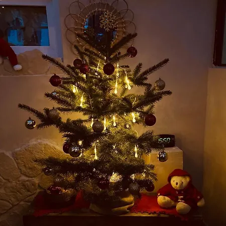 Czapla Siwa Appartement Sztutowo
