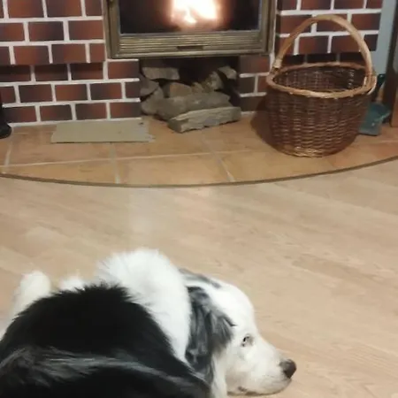 Czapla Siwa アパート シュトゥトボ