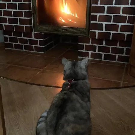 Appartamento Czapla Siwa Sztutowo