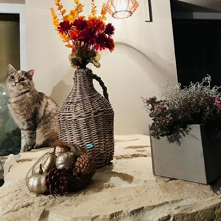 Czapla Siwa Appartamento