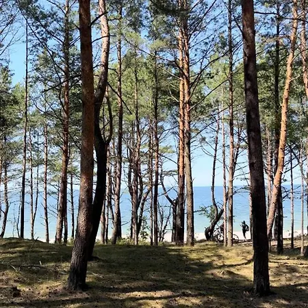 Czapla Siwa アパート