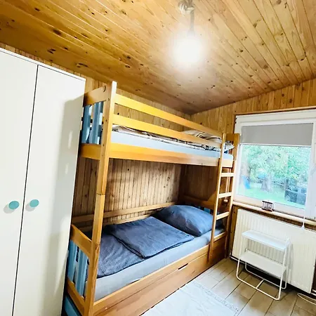 Czapla Siwa *