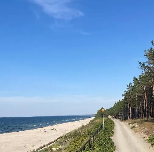 Czapla Siwa Sztutowo