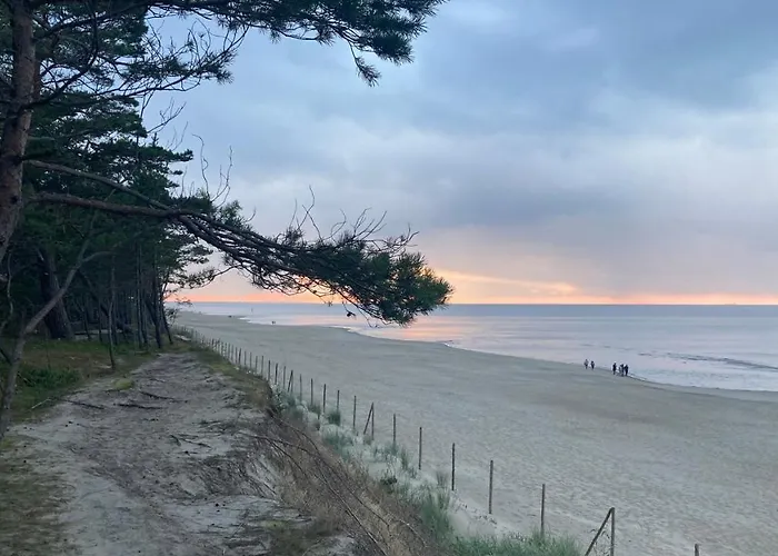 Czapla Siwa Sztutowo