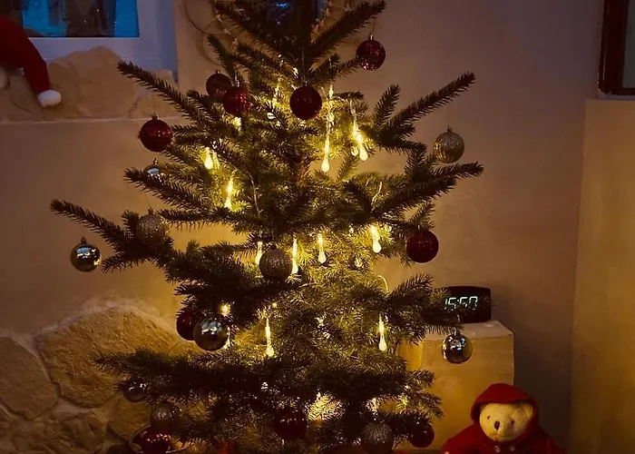 Czapla Siwa Apartment Sztutowo