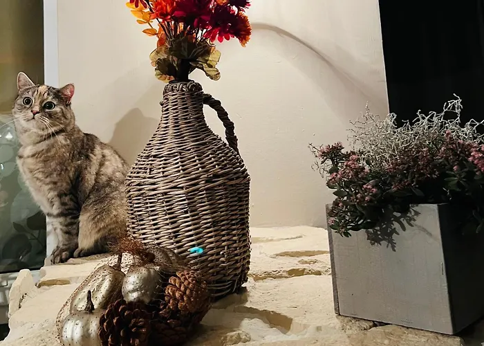 Czapla Siwa Apartment